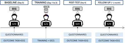 Event-Related Potentials as Markers of Efficacy for Combined Working Memory Training and Transcranial Direct Current Stimulation Regimens: A Proof-of-Concept Study